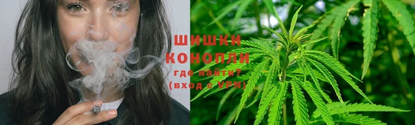 прущие грибы Богородицк