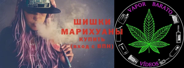 прущие грибы Богородицк
