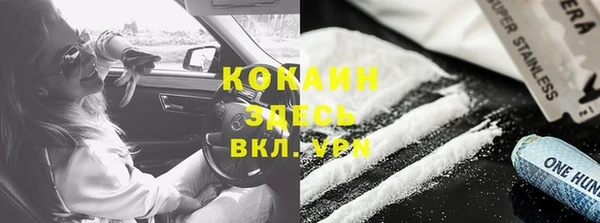 прущие грибы Богородицк