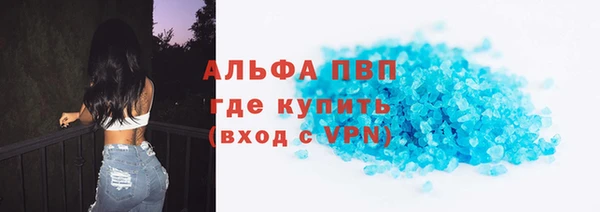 прущие грибы Богородицк