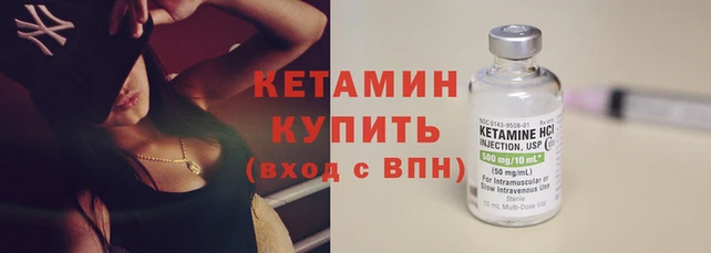 прущие грибы Богородицк