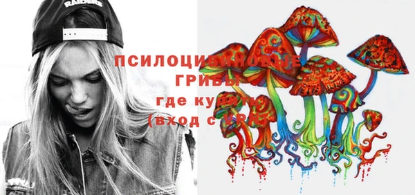 прущие грибы Богородицк