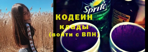 прущие грибы Богородицк